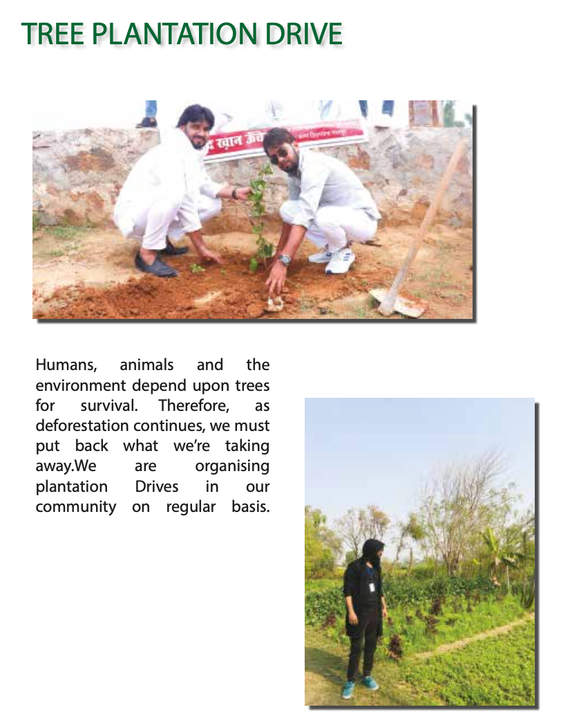 Tree plantation drive by Well Being Foundation